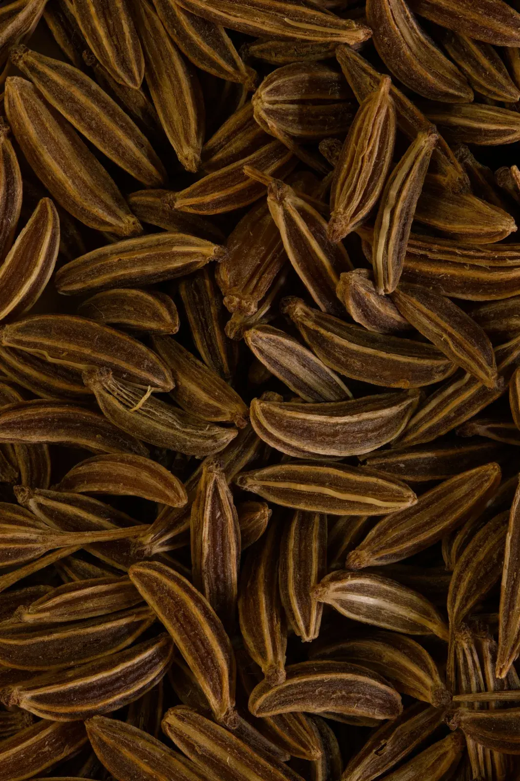 Dill Seed