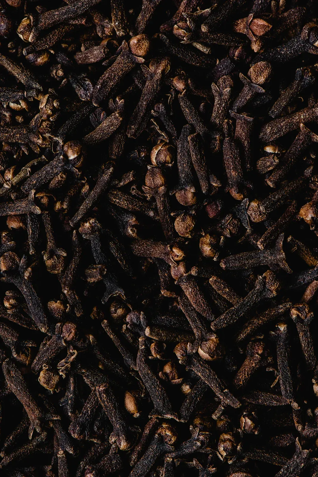 Clove Bud