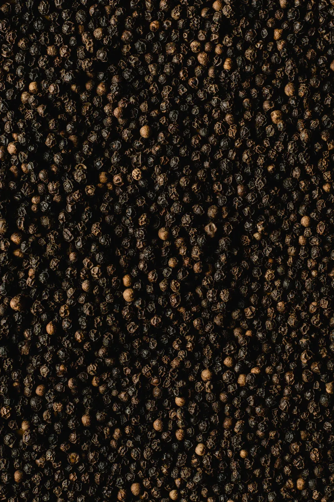 Black Pepper