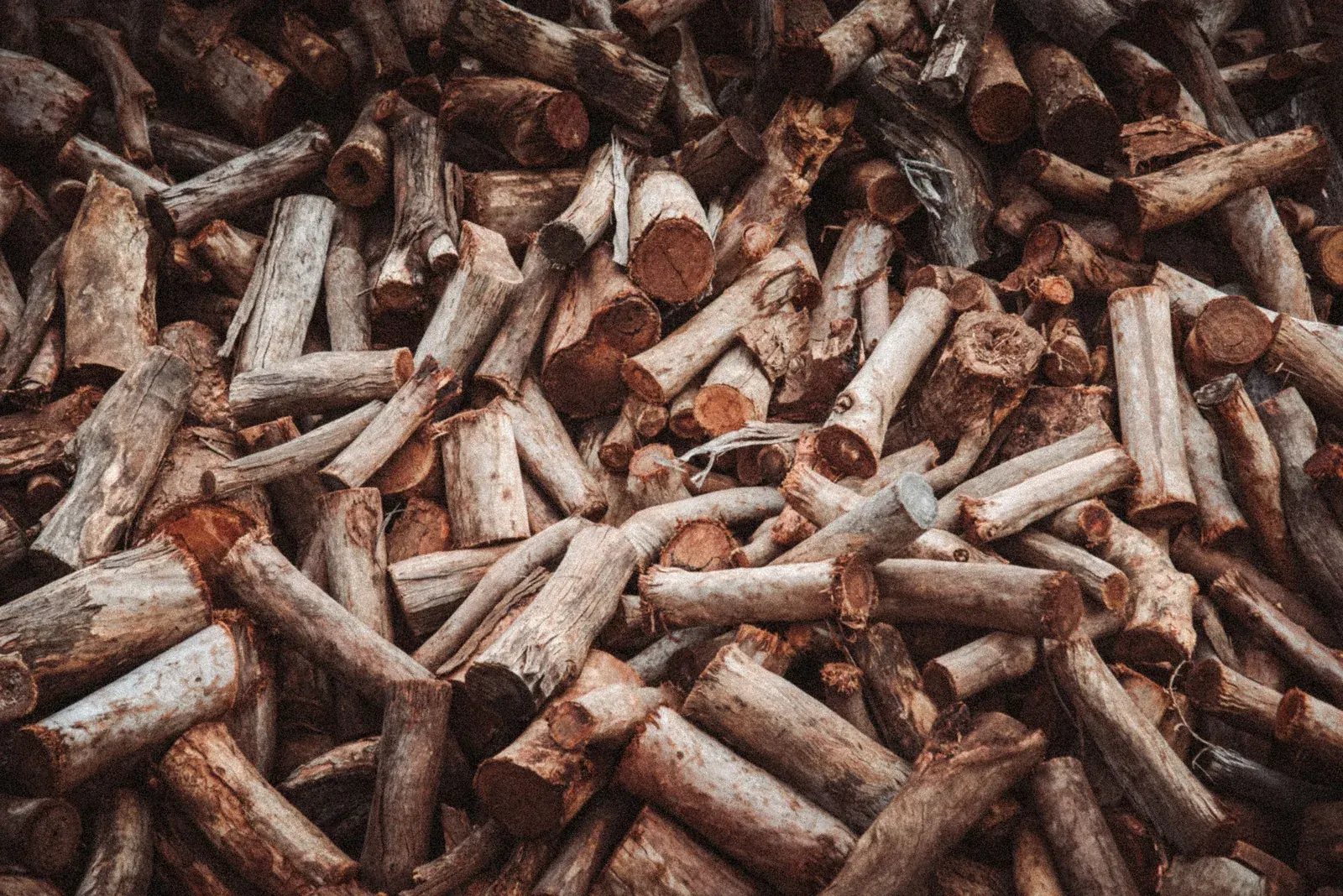 Sandalwood India