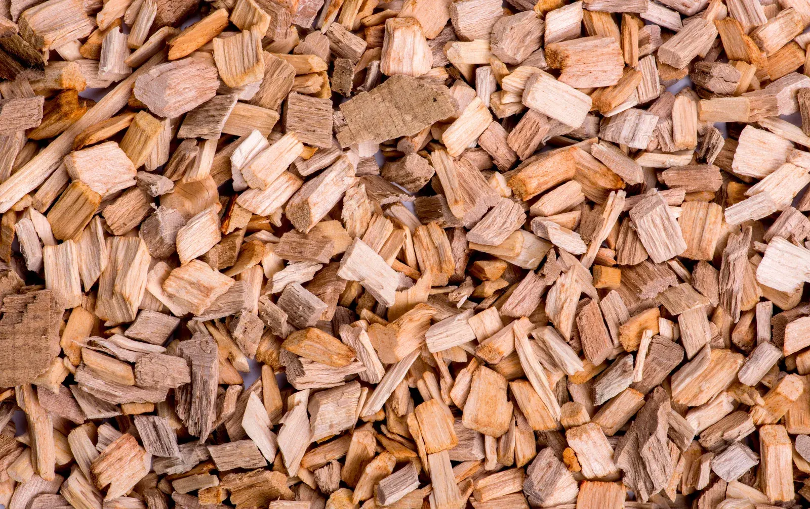 Agarwood