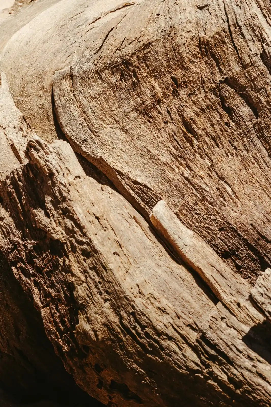 Woody