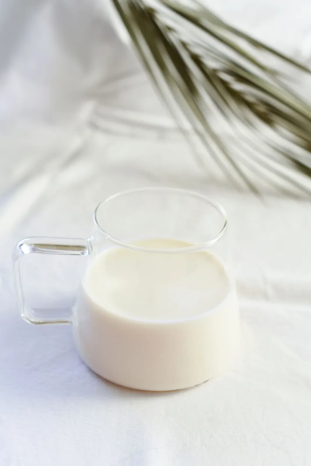 Milk