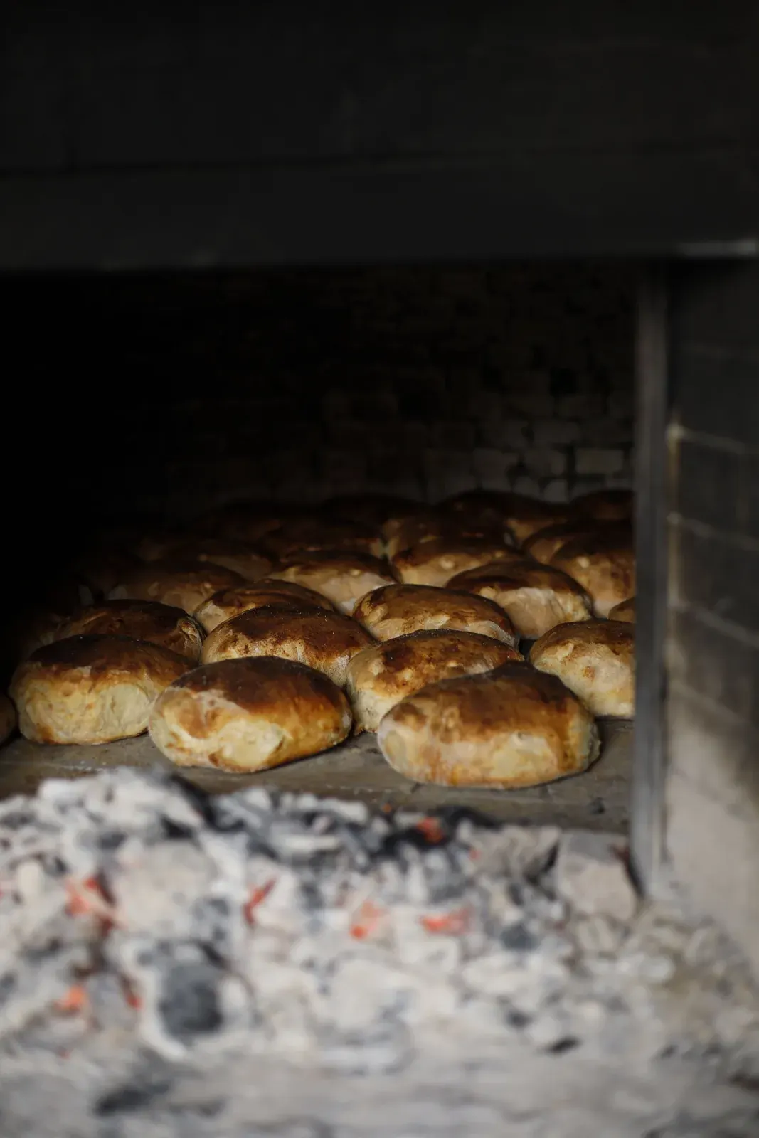 Freshly Baked Bread