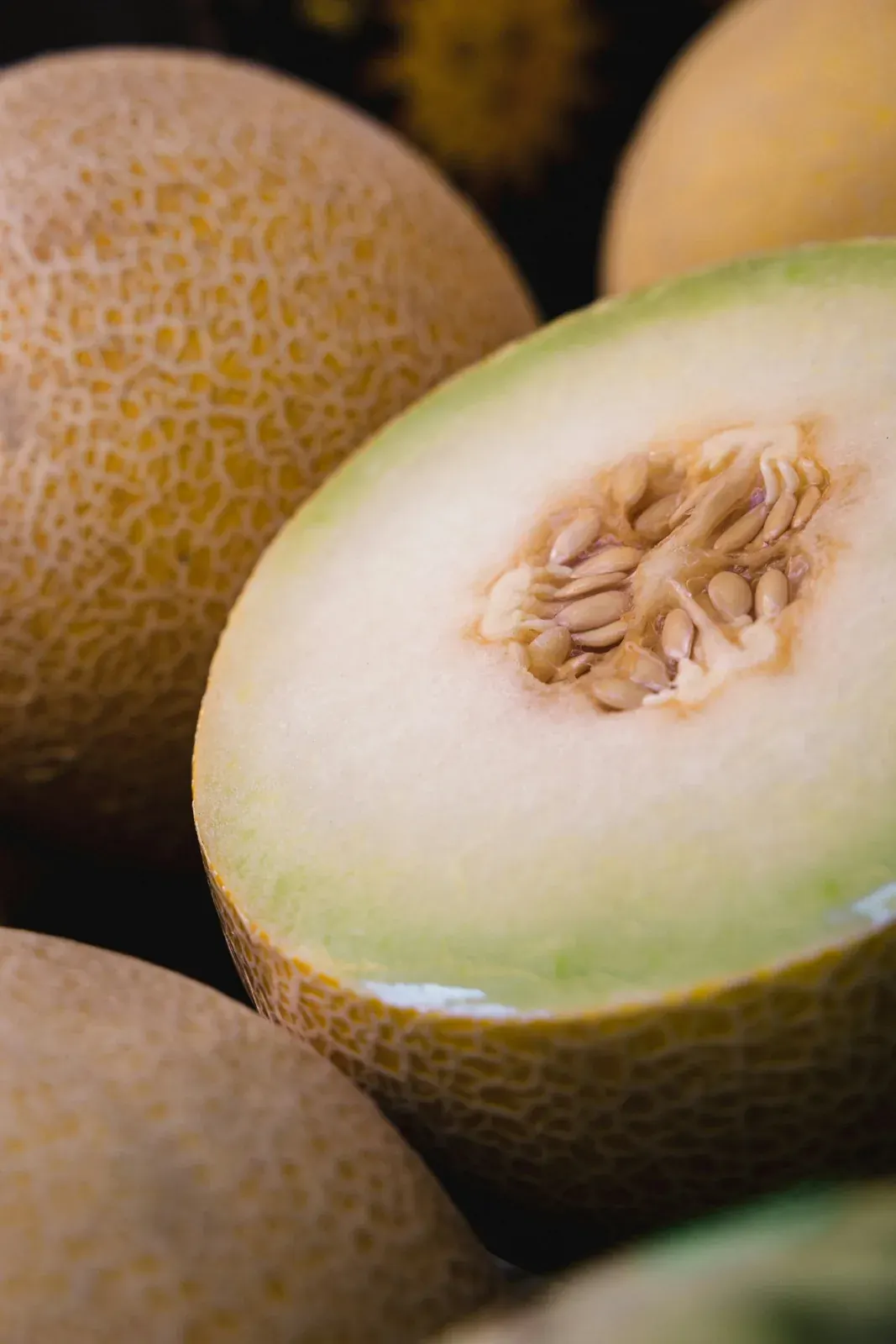 Melon