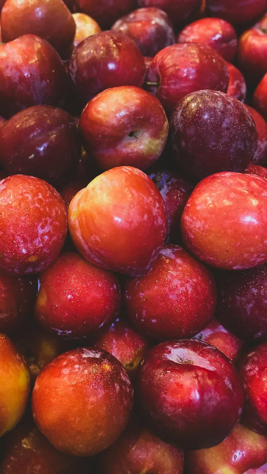 Plum