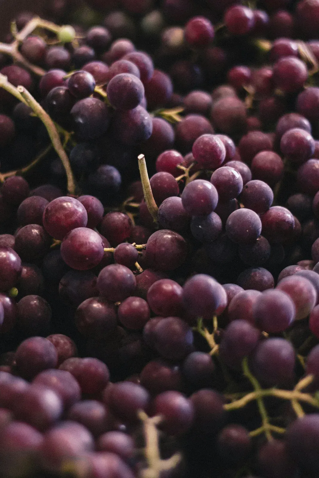 Grape