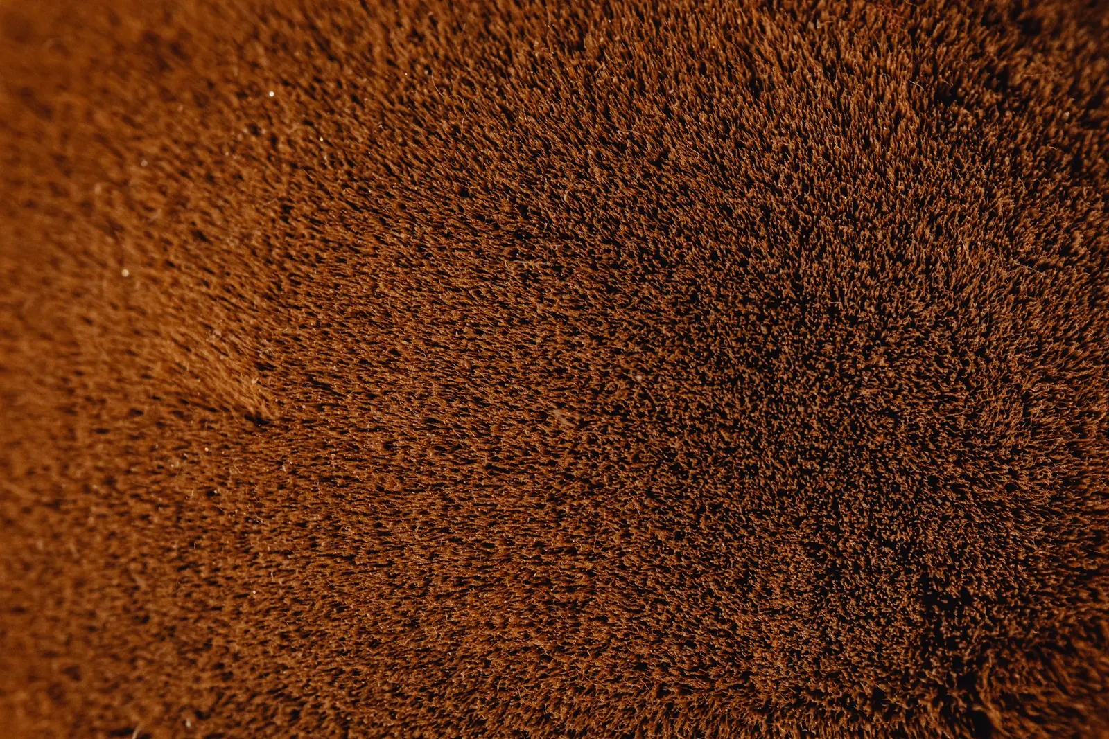 Soil