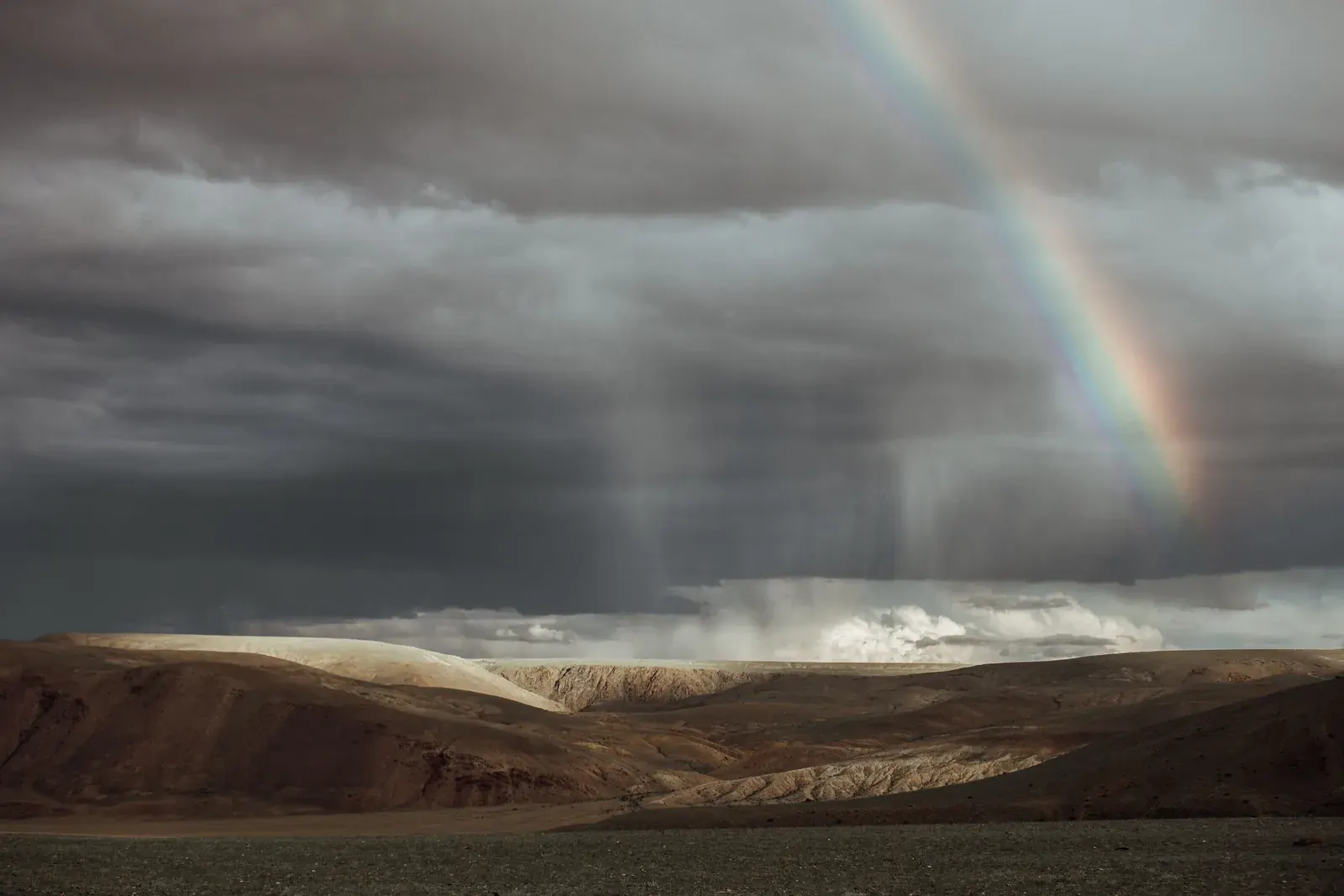 Desert Rain