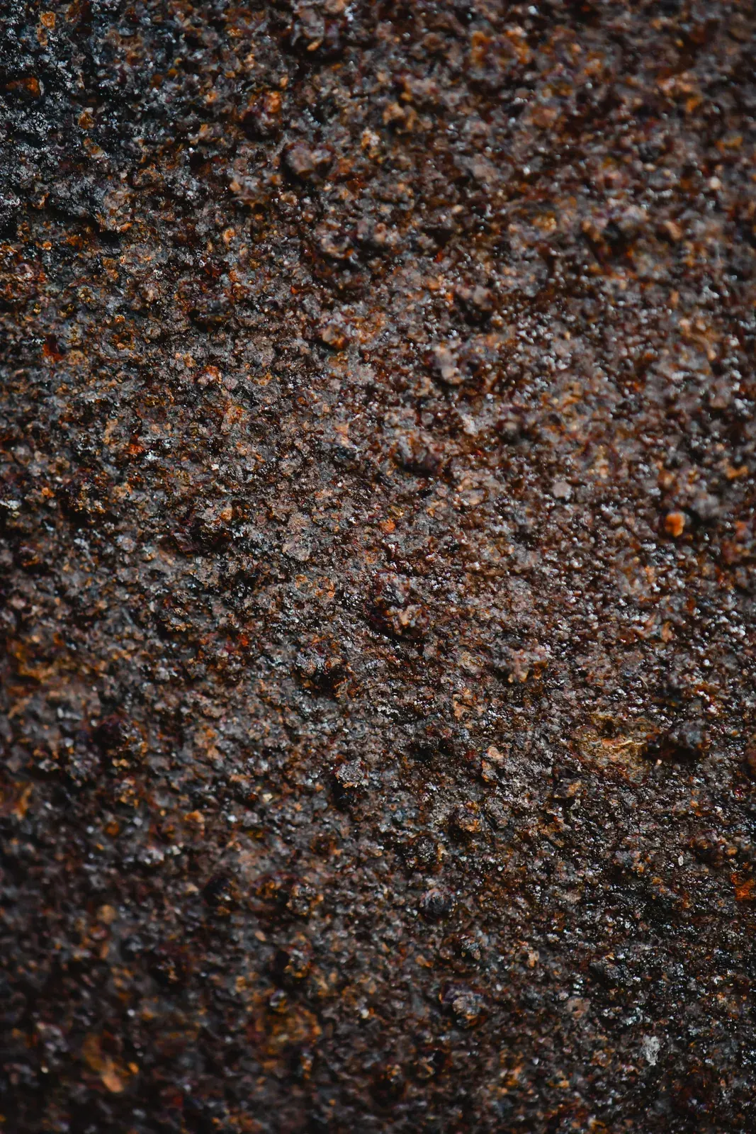 Fresh Dirt