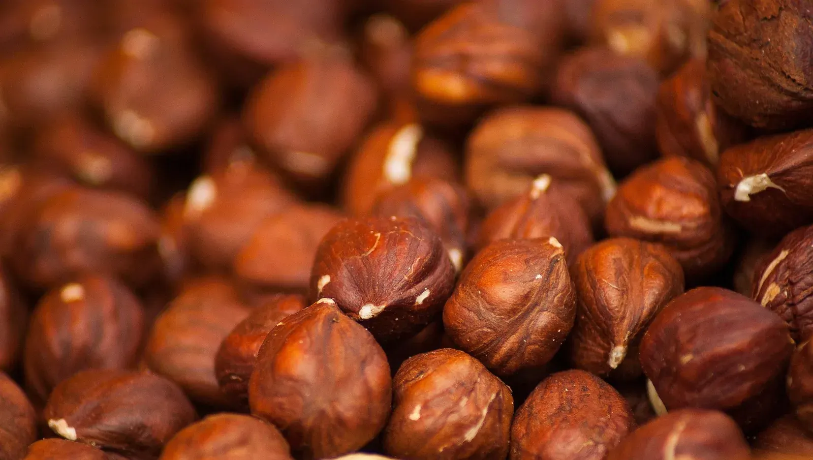 Hazelnut