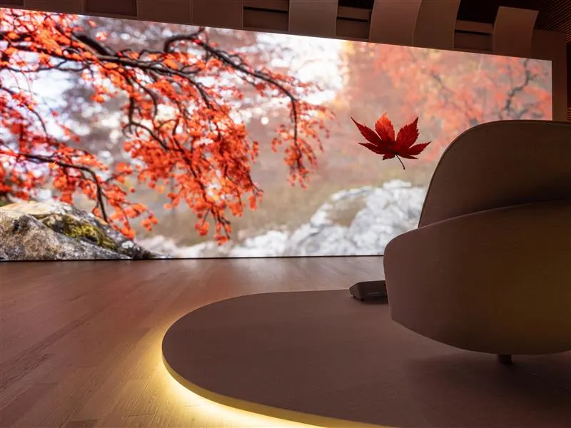 Beauty Retreat Theater 2